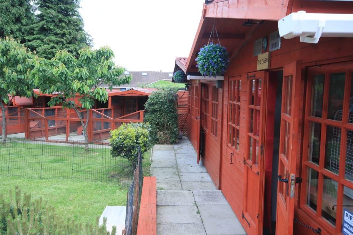Redbeck boarding cabins and garden
