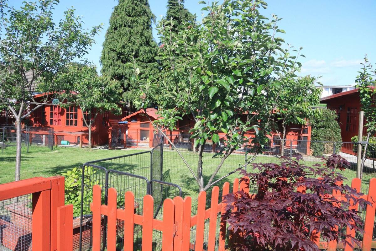 Cabins and fenced runs at Redbeck