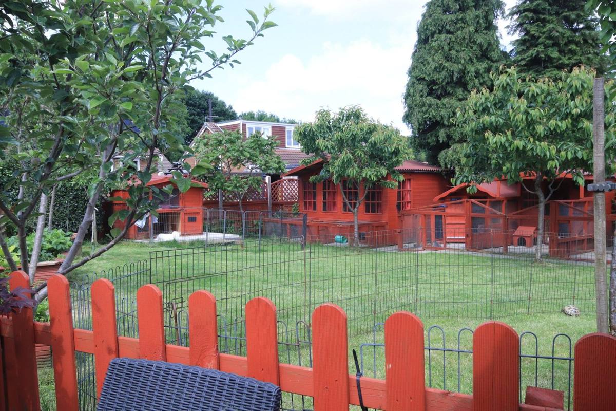 Garden and exercise runs at Redbeck