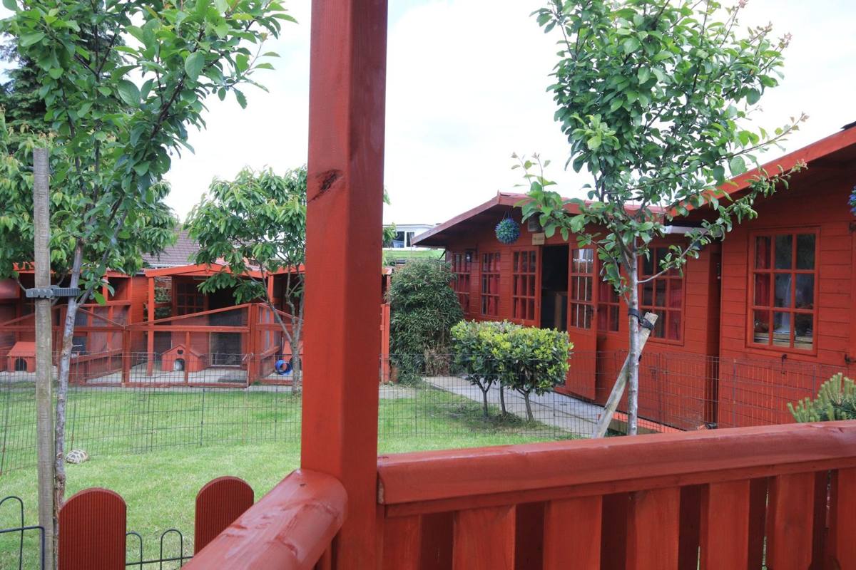 Boarding cabins seen from the veranda