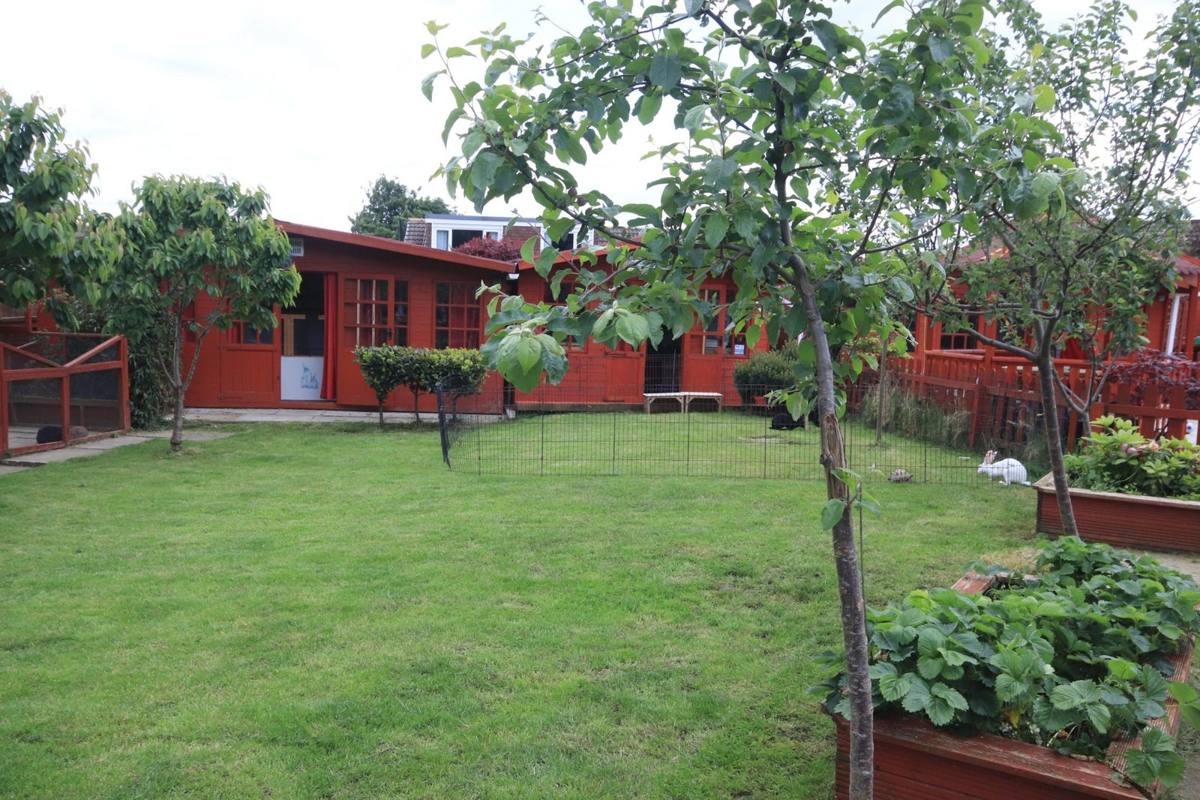 Garden and cabins at Redbeck