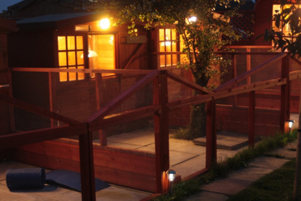 Redbeck boarding cabins lit up in the evening