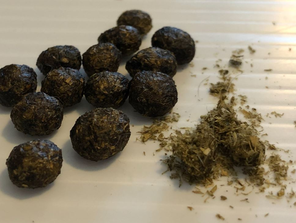 Healthy rabbit droppings and caecotrophs