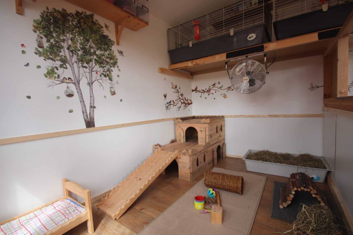 Inside the Deluxe suite, with platforms, ramp and Manor House Castle