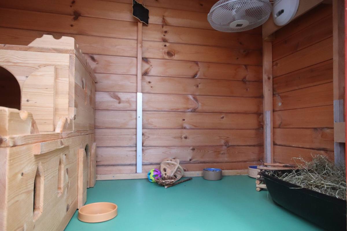 Inside a Cottage, with hideaway, hay and water